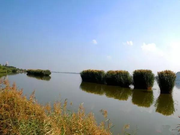 阅海国家湿地公园