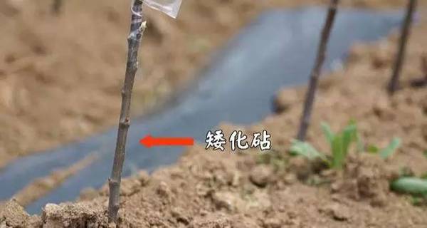 a879ku6400484135296.jpeg