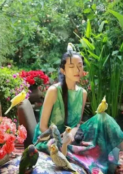 杨丽萍梦幻豪宅"月亮宫"曝光,鲁豫羡慕哭了:我也想要!