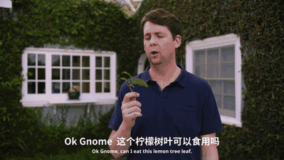 谷歌愚人节产品发布,结果最靠谱的还是