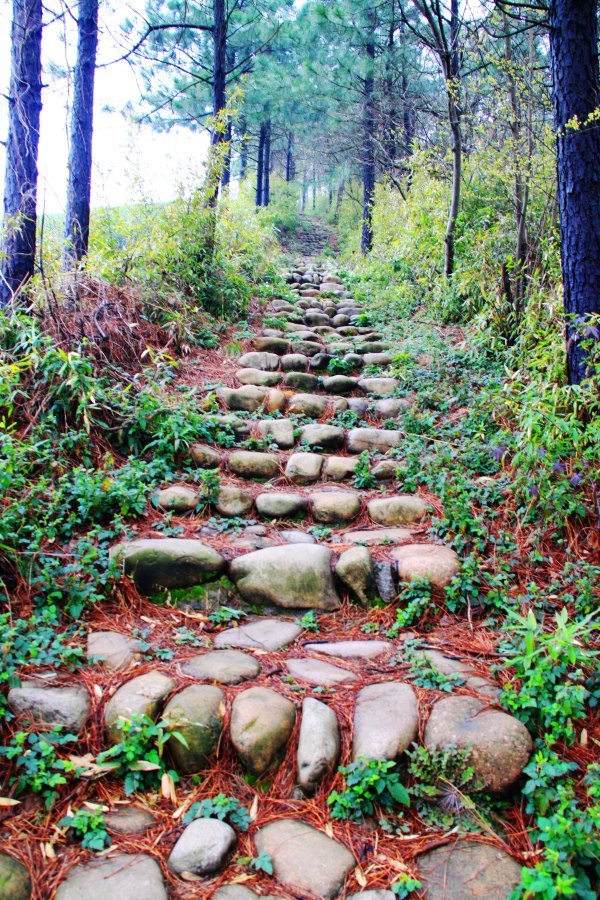 古道漫长且陡峭,登山台阶是一个连一个,一级又一级,伸向天际.