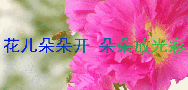 道心中之情,感谢你的陪伴