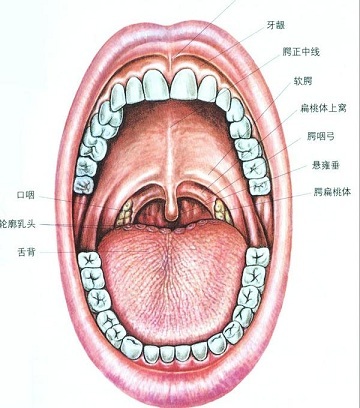 传统中医妙方治疗扁桃体炎,"一针见血"事半功倍