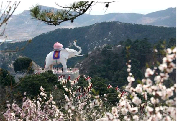 五一小长假辽宁赏花好去处_五一沈阳到赏花跟团游