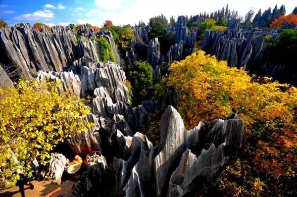 云南旅游景点必玩的地方石林 a54jpq17146040179405.jpeg