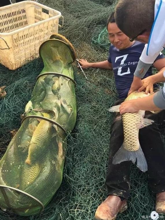 如何自己制作钓鱼平台 a9lsl12848324764619.jpg