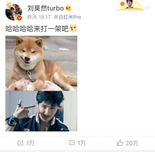 刘昊然撞脸柴犬,他们一起可以拍真人疯狂动物城吧