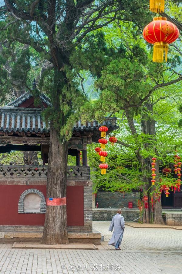 济南灵岩寺,居四大名刹之首,环境清幽且鲜有人至