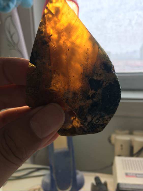 传说中的山西煤珀,无良商家能不能消停点