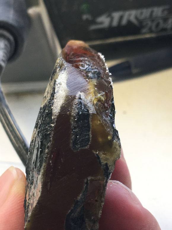 传说中的山西煤珀,无良商家能不能消停点