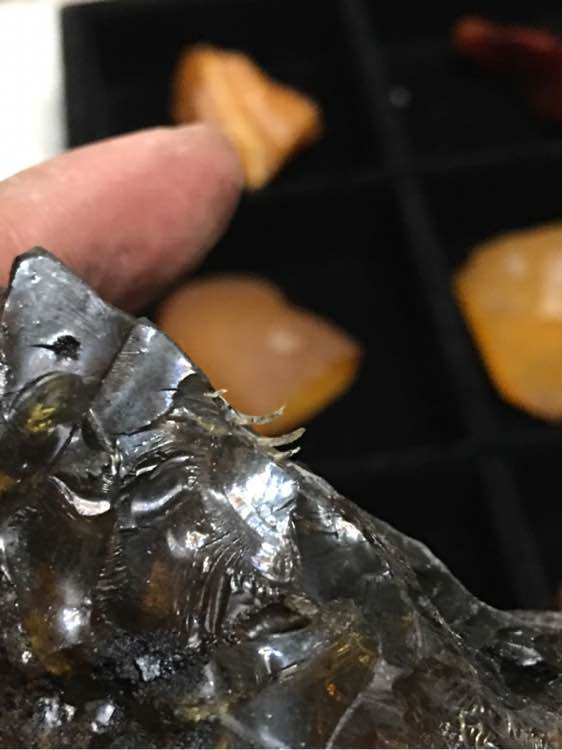 传说中的山西煤珀,无良商家能不能消停点