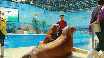 泉城欧乐堡周年庆,海量福利等你来哦!