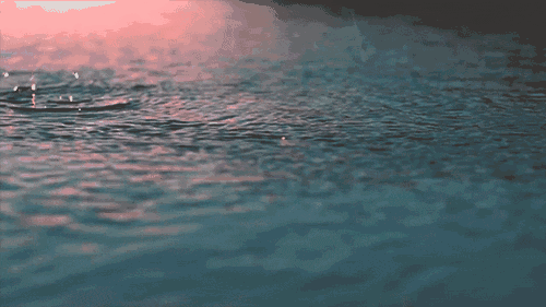 a93yaj5221832872625.gif