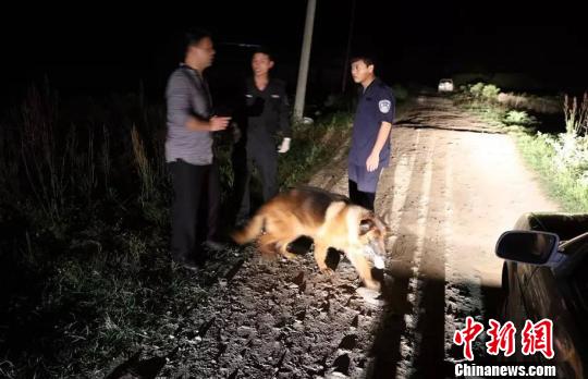 搜捕队伍正在全方位搜捕犯罪嫌疑人。台州市仙居县公安局 供图