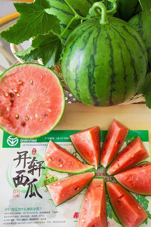 西瓜怎么育苗的过程 a4y2bj4340743232142.jpeg