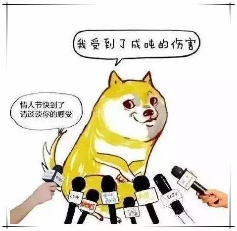 a629005198245941475.jpeg