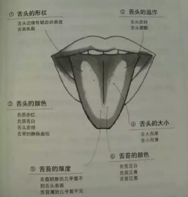 超实用的望诊精华图解,看完你就成了半个道医!