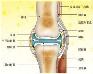 当关节受到牵拉或屈折时(拉手指和掰手指都能发出弹响,拉力超过关节