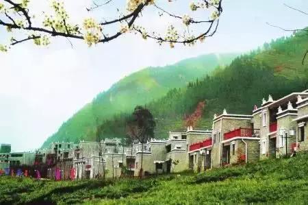 a1mv7o0496687821996.jpg