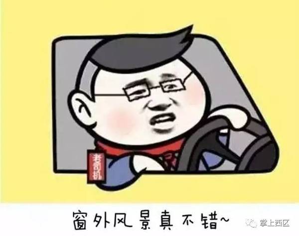 a1v4cd5011894990996.jpeg