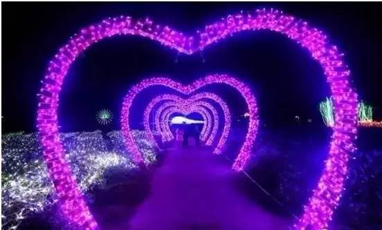 生命树全集免费观看高清 a01g5c1017194104677.jpeg