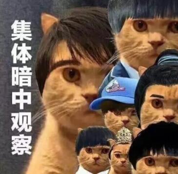 itotii神吐槽:胸罩利润大跌 女人不再好骗 – itotii