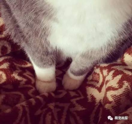 a476ya2250529051755.jpeg