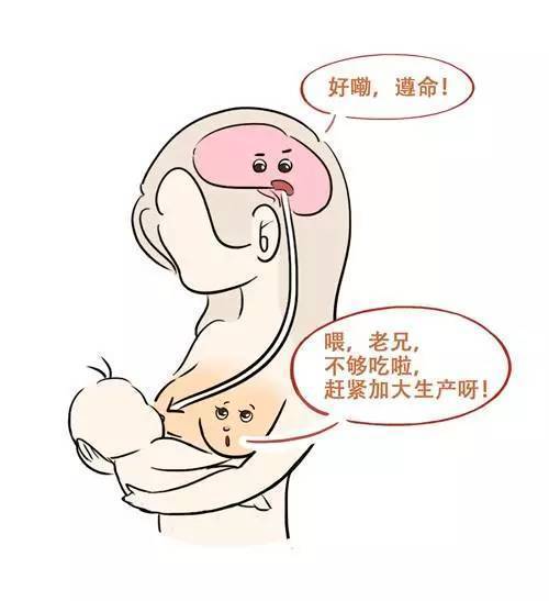 母乳不足总有原因,听听职业催乳师怎样讲