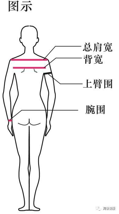 膝围:被测者直立,测量膝部围长,测量时软尺与胫骨点对齐.