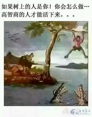 十张高智商才看懂的图片,看懂五张说明智商超130