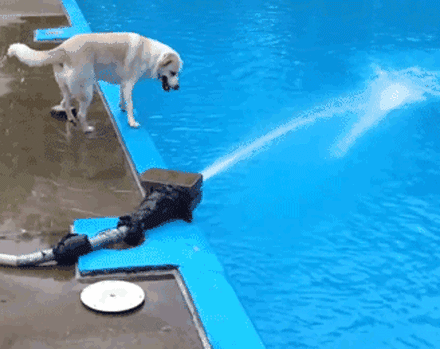 杀马特一脸的懵比-体育频道-手机搜狐老弟去相亲,带着口罩全程跟踪