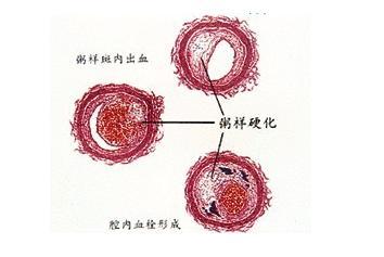 a59u8g80204510315405.jpg