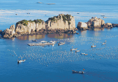 踏着海浪度假吧