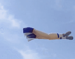 抬头看看天空中飘着的风筝千姿百态:有翩翩起舞的