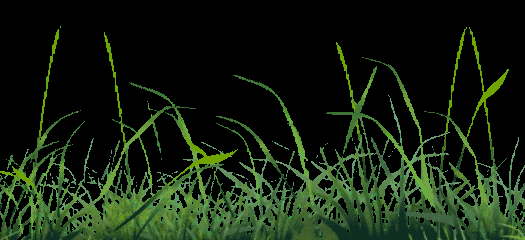 525_240