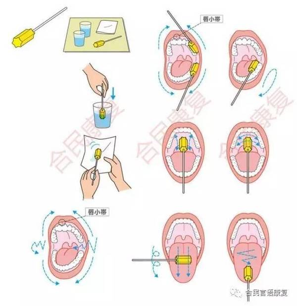 【1元拼团】口腔海棉按摩棒,只有24小时抢到就是赚到!