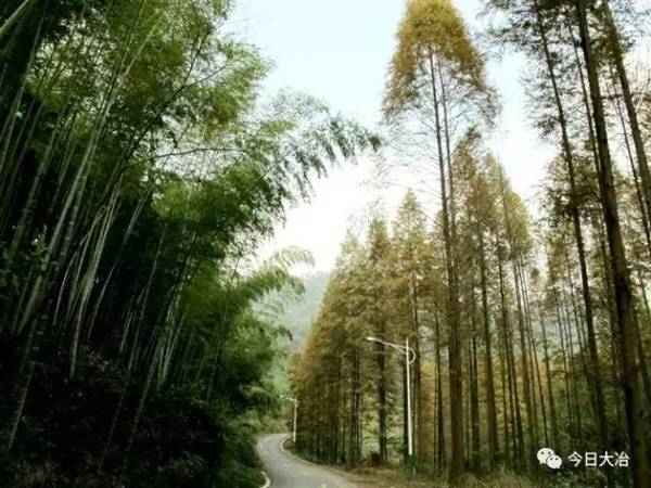 附近旅游景区离我最近 a0ud7o7186421896415.jpeg