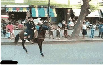 女司机技术交流大会?