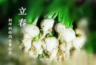 如何才能长寿的几种方法 a8egcd1376158763542.jpeg