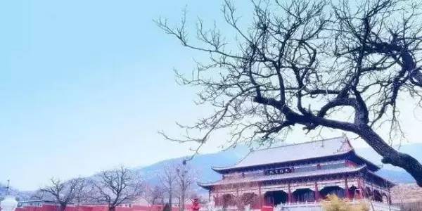 平邑武台人口_平邑地图