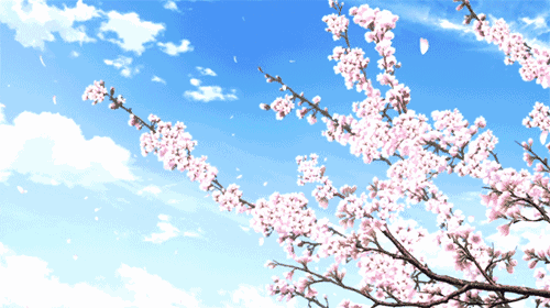 壁纸 花 桌面 500_280 gif 动态图 动图