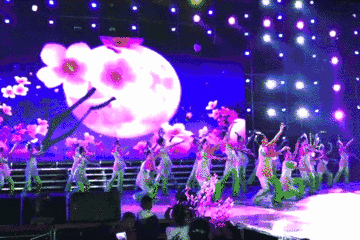 【头条】2017樱花浪漫夜文艺晚会成功举行,现场欢歌起舞 嗨爆全场!