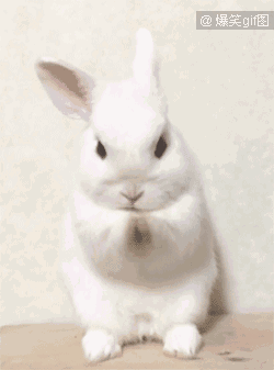 250_337 竖版 竖屏