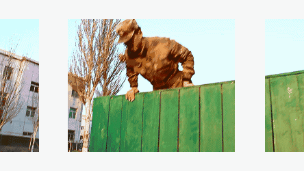 立臂攀越:两腿起跳, 08 匍匐通过低桩网 障碍构成:低桩网:由12根立柱