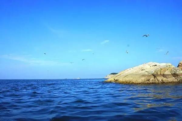 地址:乳山市海阳所镇 营业时间:7:00-21:00 价格:海上系列游乐活动