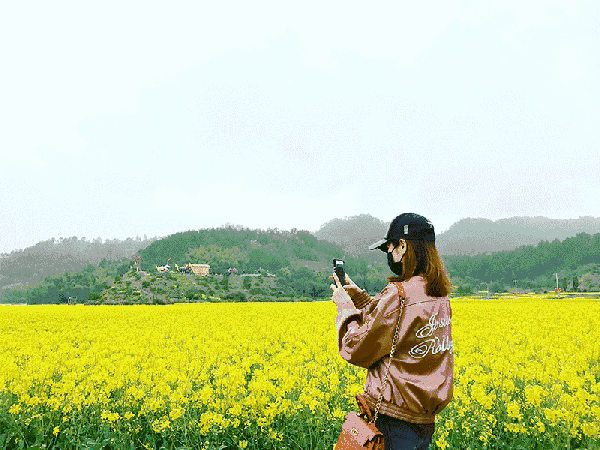 临海这几个村子,居然隐藏着世外桃源!