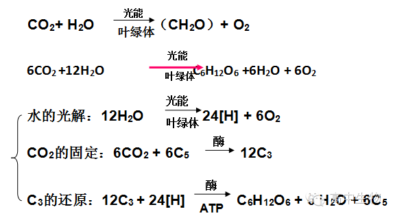 fe2o3 和co2反应的方程式是什么呀?