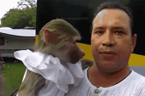 笑话频道-手机搜狐