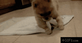 这周就别嘚瑟的 老老实实的多穿点儿, 暖和才是最重