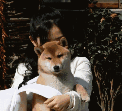 赵丽颖惨遭